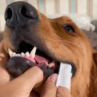 Dental Finger Wipes