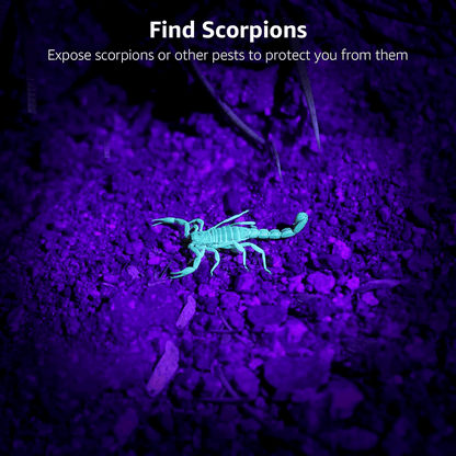 ✨Home Essentials🛡️LED 395nm Flashlight Detector for Dogs, Urine Stains, Bedbugs, and Scorpions