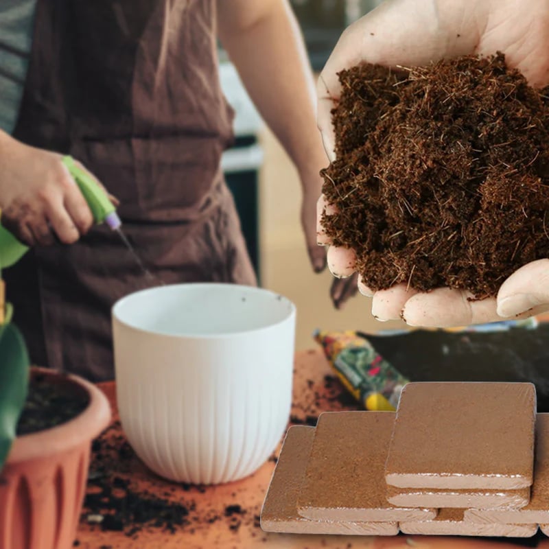 🔥LAST DAY 50% OFF🌱Premium Organic Coconut Coir Bricks for Plants