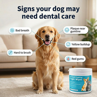 Dental Finger Wipes