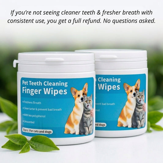 Dental Finger Wipes