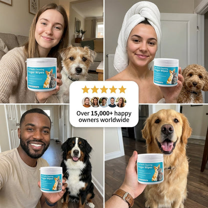 Dental Finger Wipes
